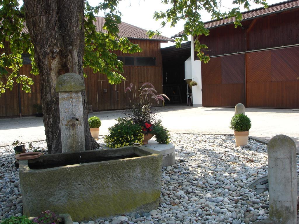 Gaestehaus Wildgehege Wilhelm Eksteriør billede